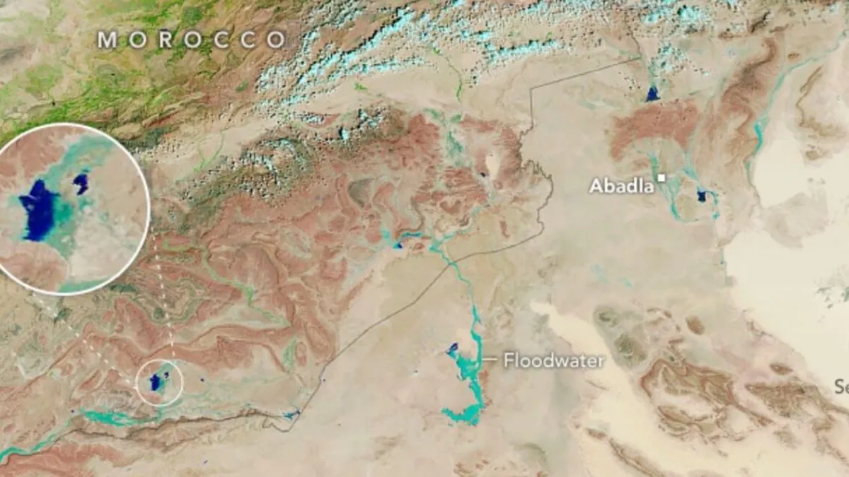 Sahara Dessert Sees First Flood In 50 Years, NASA Shares Dramatic ...