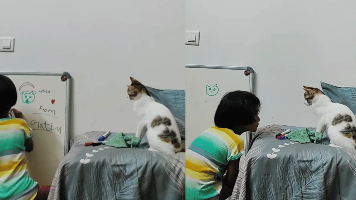 viral-video-of-little-girl-drawing-portrait-of-pet-kitten-is-the-cutest-clip-on-internet-today-watch