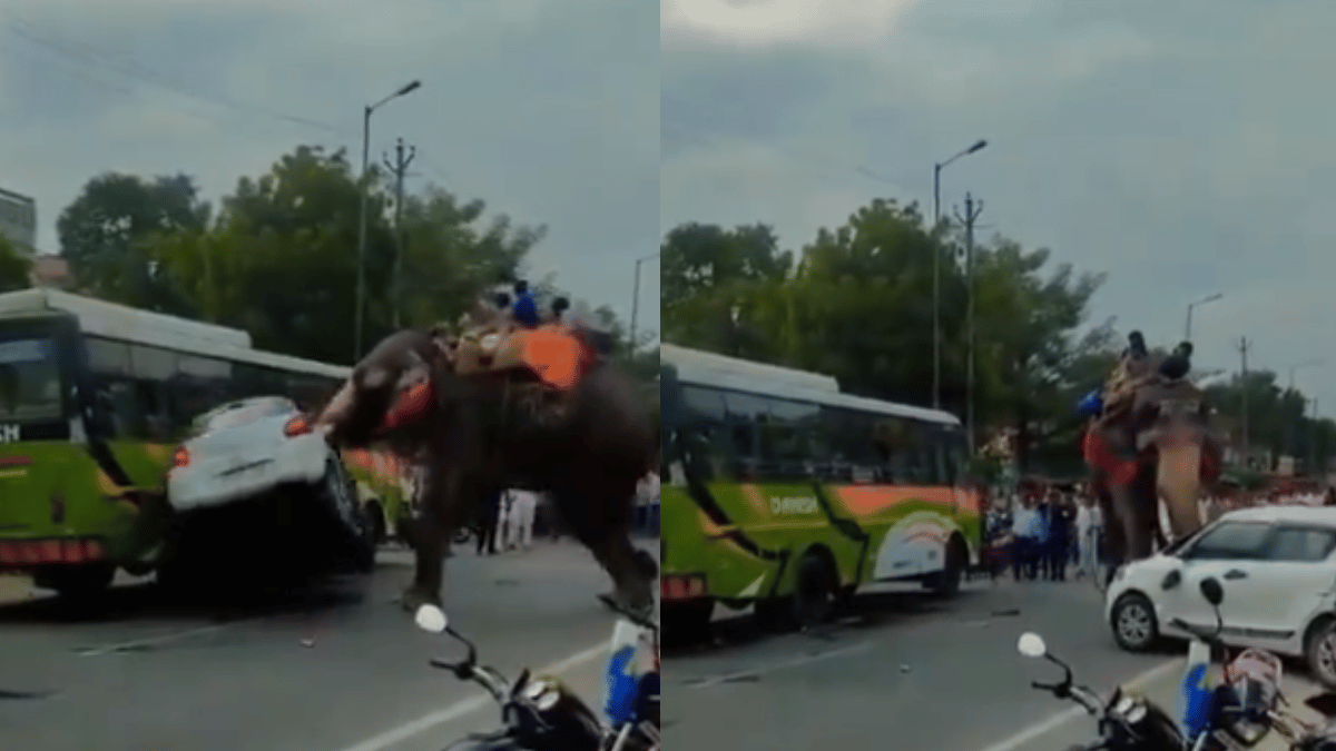 viral-video-of-elephant-aggressively-attacking-car-like-common-toy-leaves-internet-horrified-watch