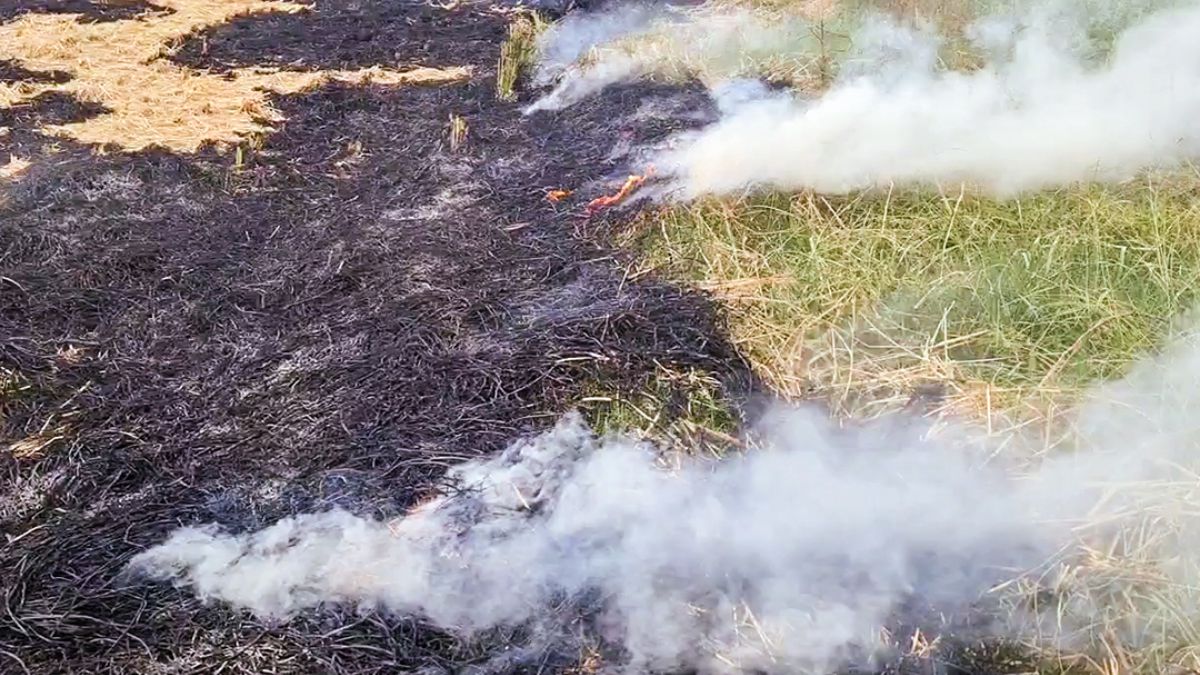 Punjab Stubble Burning Pushes Air Quality Index To Hazardous Levels