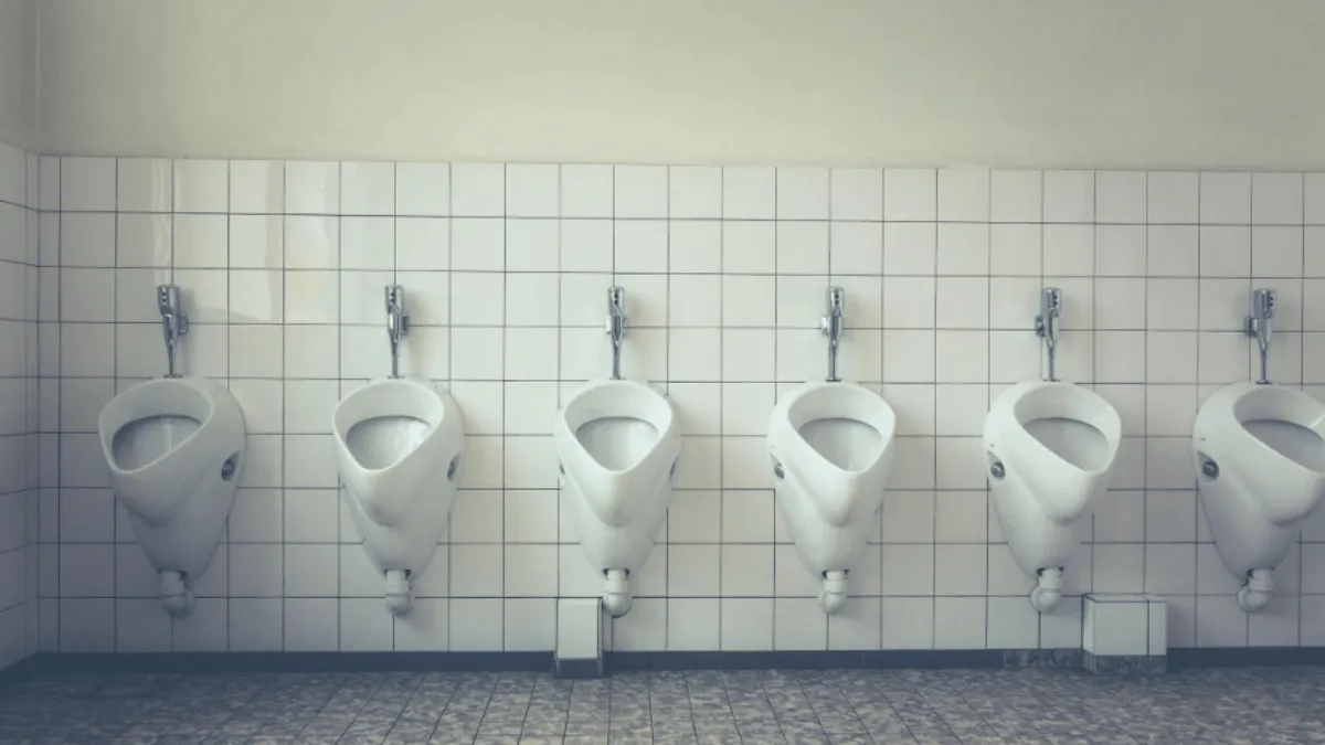passenger-fills-bizarre-toilet-pass-for-using-washroom-at-mumbai-metro-station-delhiites-shocked