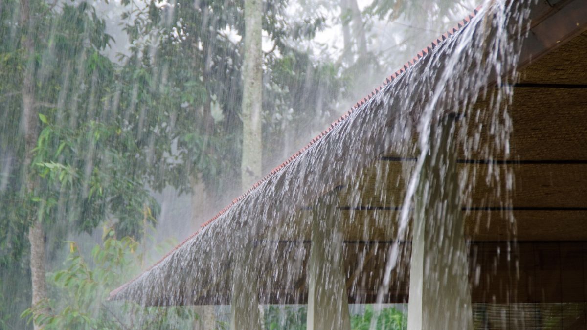 Heavy Rains Cause School Closures in Southern India