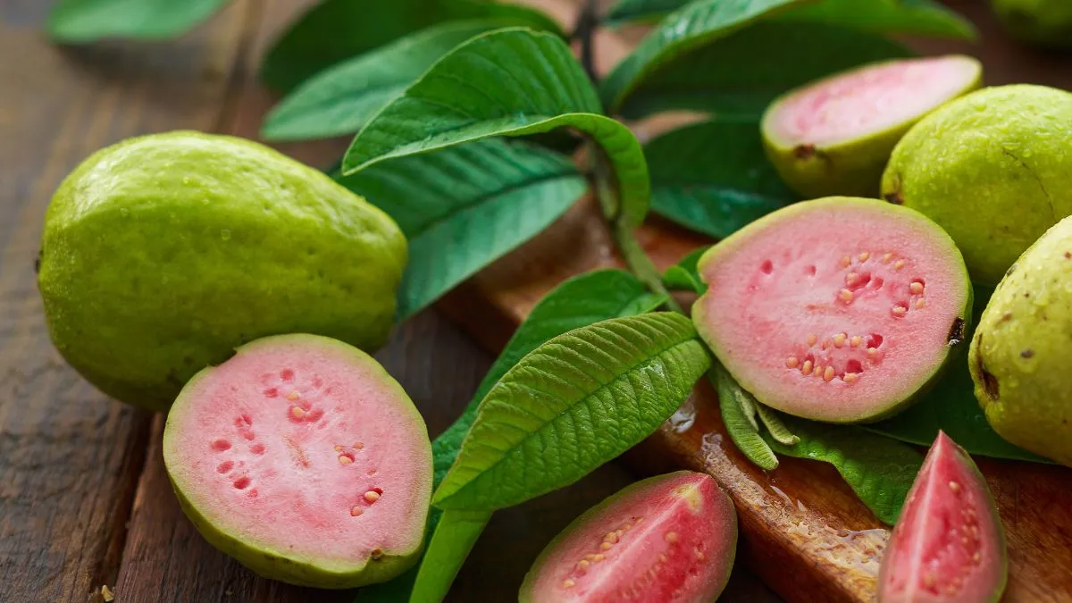 discover-the-incredible-benefits-of-eating-guava-leaves-instead-of-the-fruit