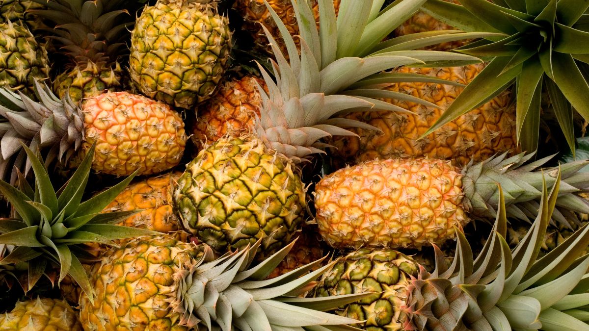 fruit-diet-5-amazing-skin-hair-and-other-health-benefits-of-eating-delicious-pineapple-every-week
