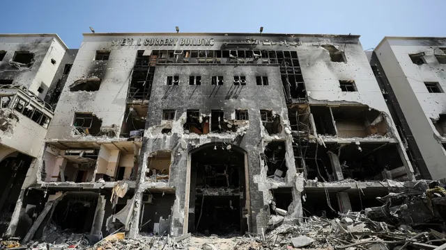 israelgaza-war-images-of-stray-dogs-eating-dead-bodies-in-northern-gaza-surface-amid-continous-attacks