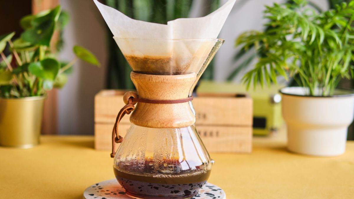 south-indian-filter-coffee-ranks-second-in-the-world-steps-to-prepare-this-popular-beverage-at-home