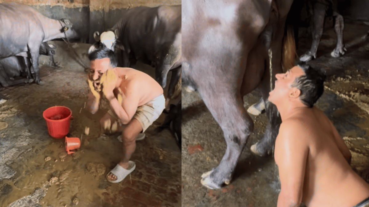 puneet-superstar-leaves-internet-disgusted-as-he-puts-dung-on-face-drinks-buffalo-urine-viral-video