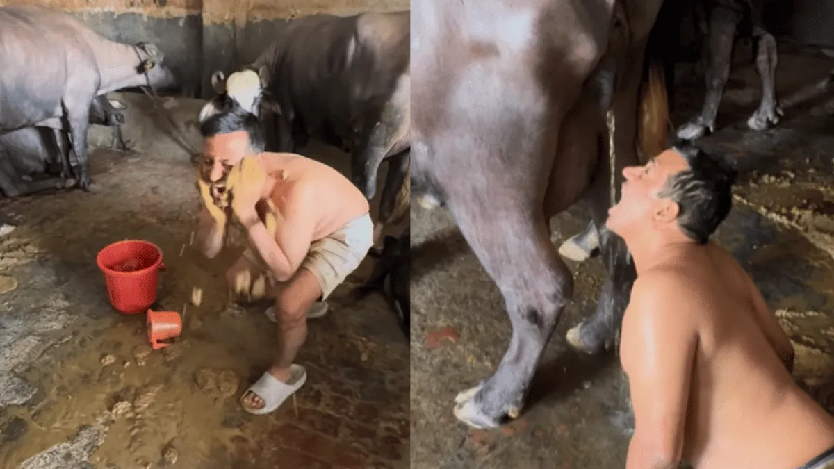 puneet-superstar-leaves-internet-disgusted-as-he-puts-dung-on-face-drinks-buffalo-urine-viral-video