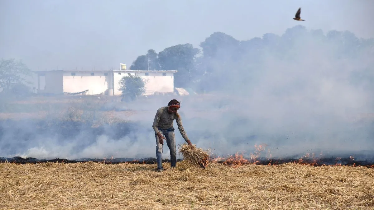 haryana-stubble-burning-action-fir-red-entry-ordered-after-sc-rebuke-delhi-air-pollution-ncr-air-pollution