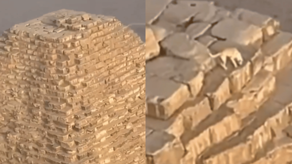 viral-video-paraglider-spots-dog-chilling-atop-great-pyramid-of-giza-here-what-happened-next