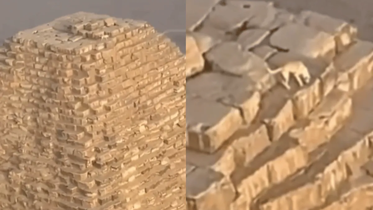 viral-video-paraglider-spots-dog-chilling-atop-great-pyramid-of-giza-here-what-happened-next