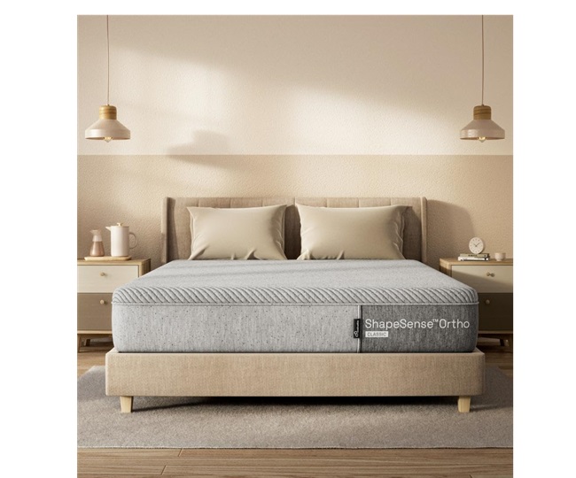 5 Best Bed Mattress In India (October 2024) Quality Sleep Guaranteed