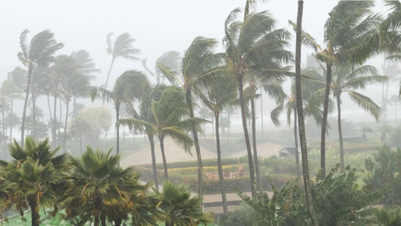 Cyclone Dana Odisha Govt Prioritises '100 Evacuation' As Cyclonic