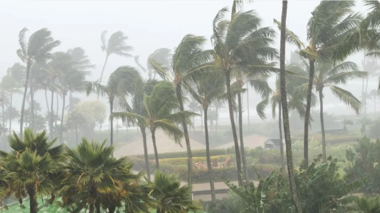 cyclone-dana-to-cause-very-heavy-rain-in-howrah-hooghly-and-north-24parganas-from-october-2425-kolkata-on-orange-alert