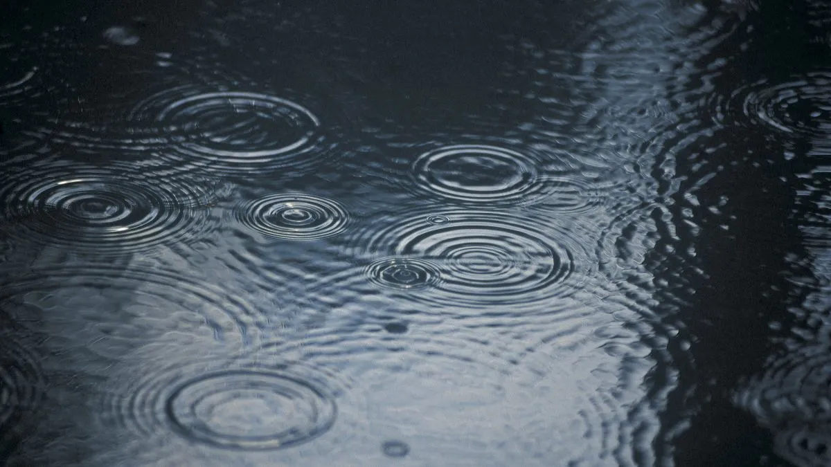 bihar-weather-updates-several-districts-to-witness-rain-from-october-24-to-27-check-forecast
