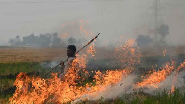 delhi-air-pollution-haryana-govt-suspends-24-employees-from-agriculture-dept-after-reprimand-from-sc-over-stubble-burning