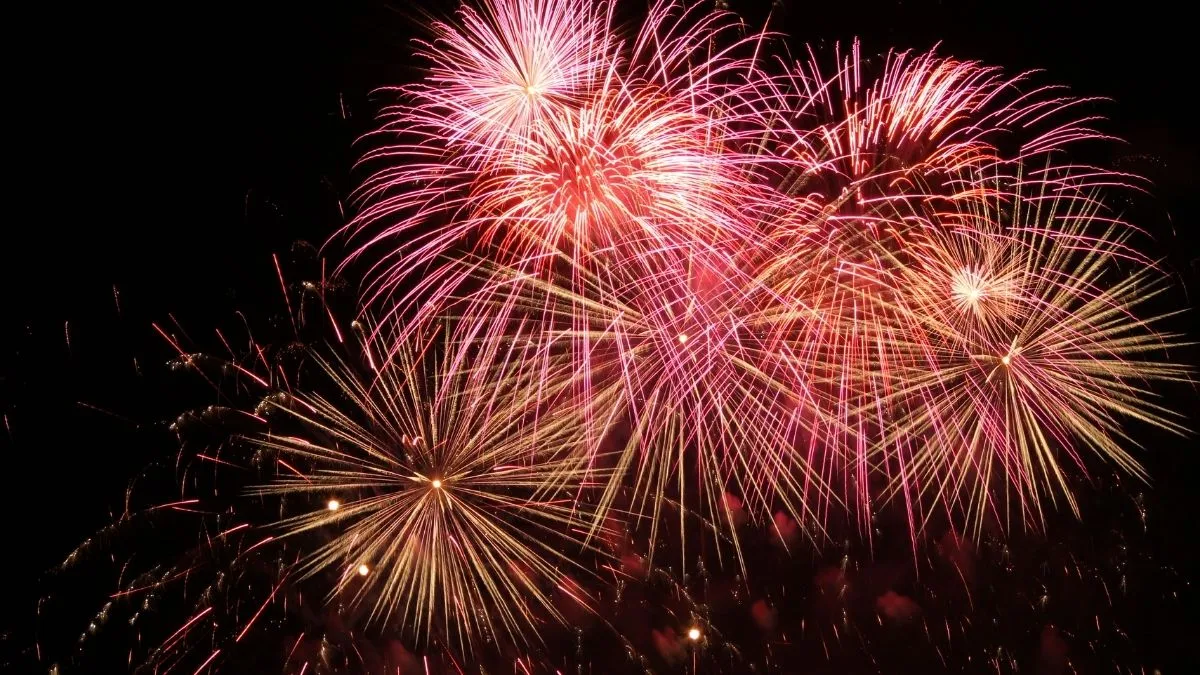 delhi-to-tamil-nadu-list-of-states-that-banned-firecrackers-this-diwali-amid-rising-air-pollution