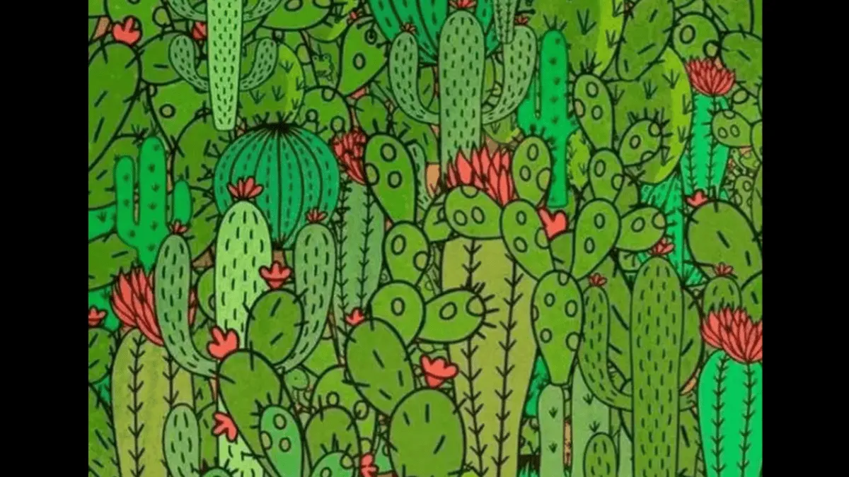 spot-3-animals-amid-cactus-garden-in-under-10-seconds-optical-illusion