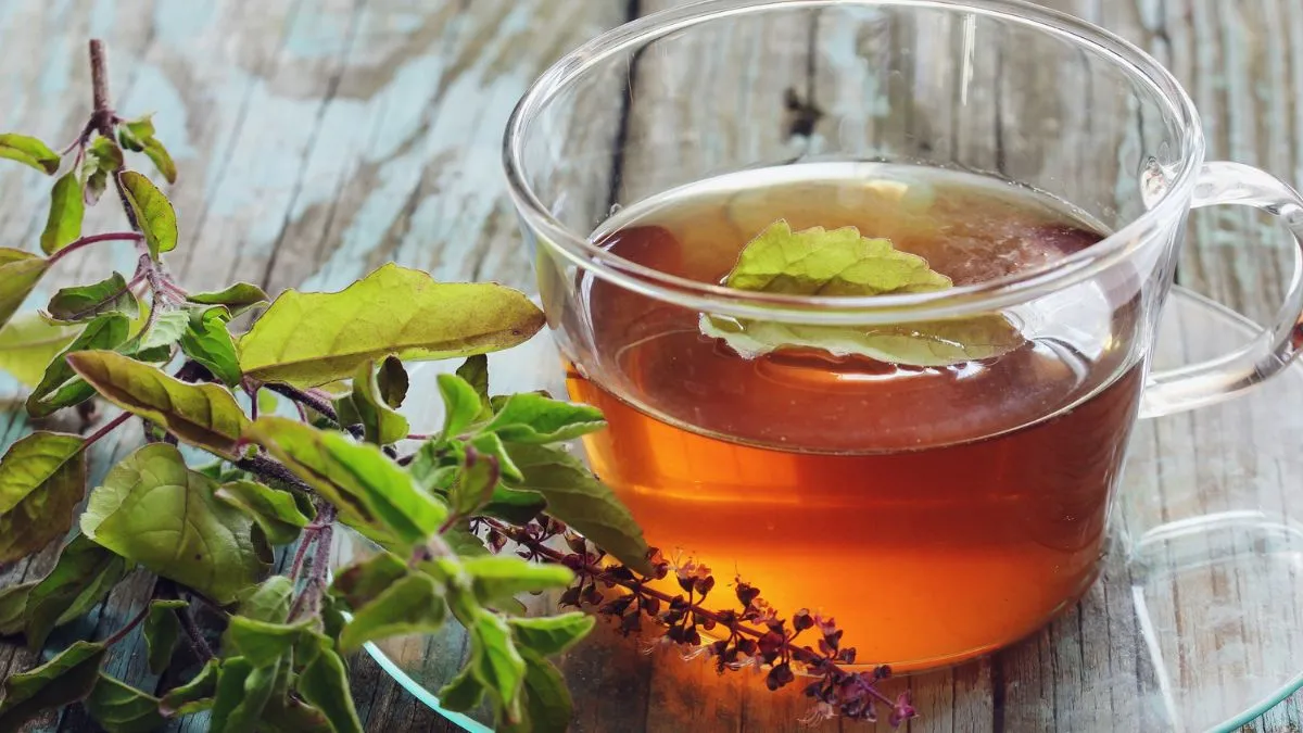 tulsi-water-5-key-benefits-of-drinking-one-glass-of-it-every-morning-for-better-health