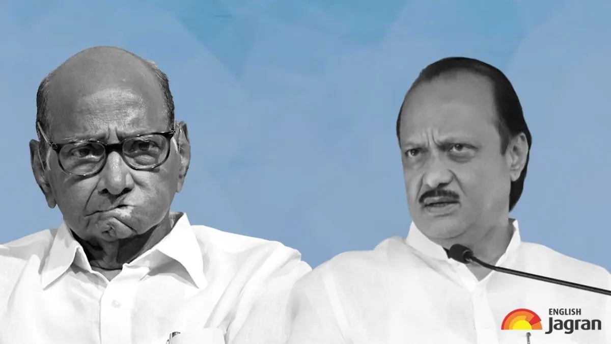 sc-allows-ajit-pawars-ncp-to-use-clock-symbol-ahead-of-maharashtra-assembly-polls-disclaimer-matter-contest-in-court