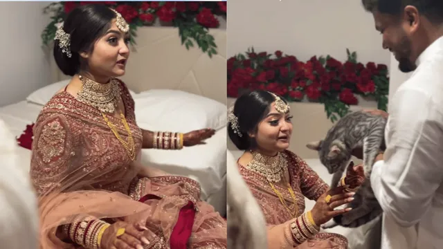 viral-video-groom-gifts-adorable-kitten-to-bride-on-wedding-day-wholesome-gesture-wins-internet