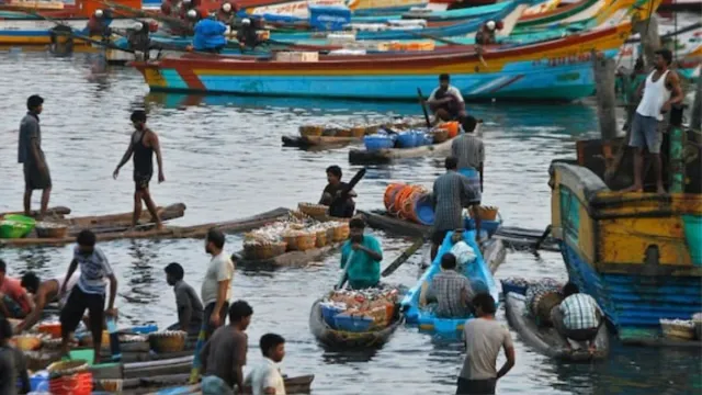 sri-lankan-navy-arrests-12-indian-fishermen-over-allegations-of-illegal-fishing-seizes-boat