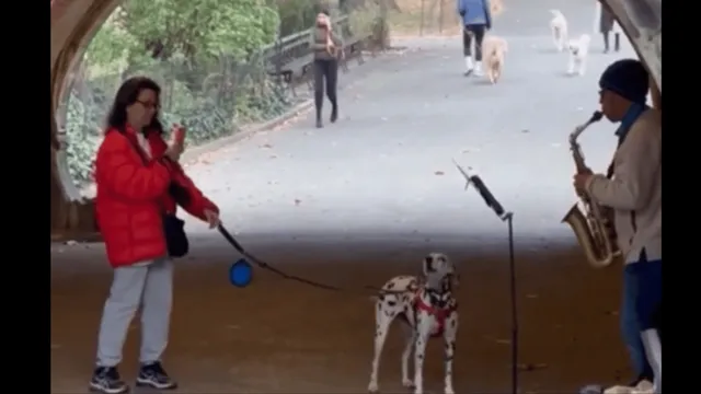 viral-video-pet-dog-jams-with-street-saxophonist-internet-cant-stop-smiling-watch