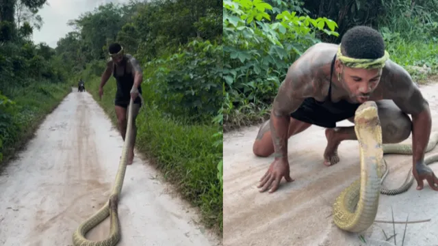 viral-video-man-kisses-massive-cobra-head-terrified-internet-fails-to-relate-with-his-enthusiasm