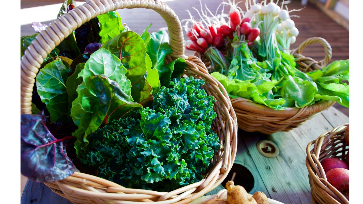 green-leafy-vegetables (2)