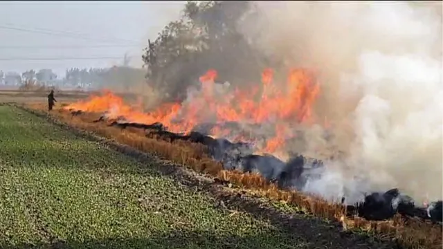 no-decline-in-cases-of-stubble-burning-in-punjab-1473-firs-lodged-against-farmers-so-far