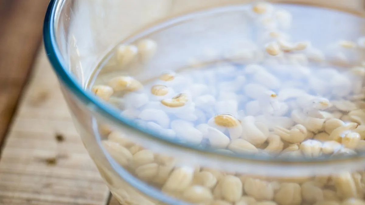 4-reasons-to-eat-5-pieces-of-soaked-cashews-every-morning
