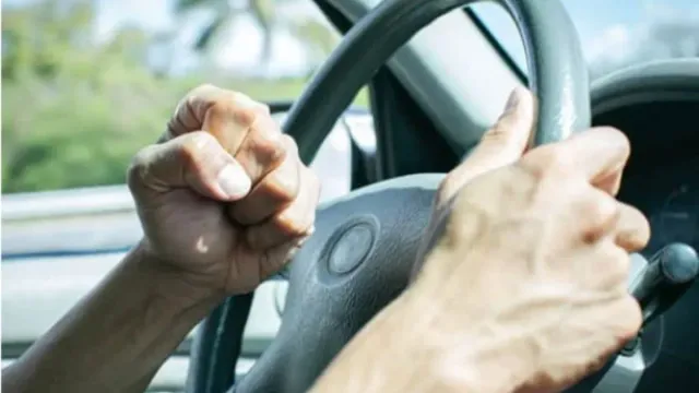 delhi-sisters-wreak-havoc-in-vasundhara-enclave-society-anekant-apartments-ram-speeding-car-into-neighbours-and-cops-arrested