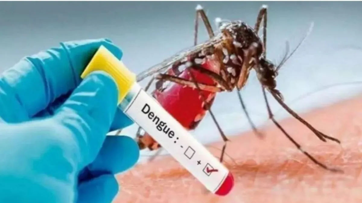 delhi-dengue-cases-delhi-dengue-attack-mcd-dengue-preventive-measures-malaria-cases-mosquito-preventive-measures-vector-borne-disease-report-mosquito-breeding