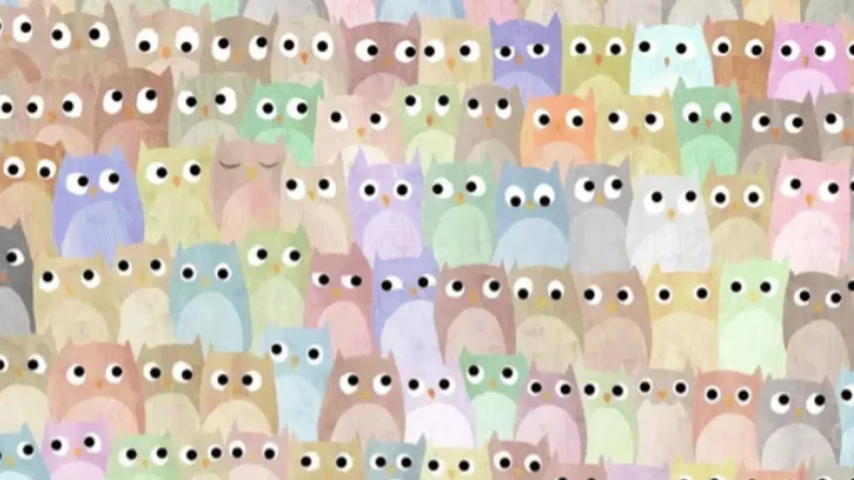 can-you-spot-the-cat-among-owls-in-under-10-seconds