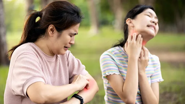 delhi-dengue-cases-effective-tips-to-protect-yourself-from-this-water-borne-disease