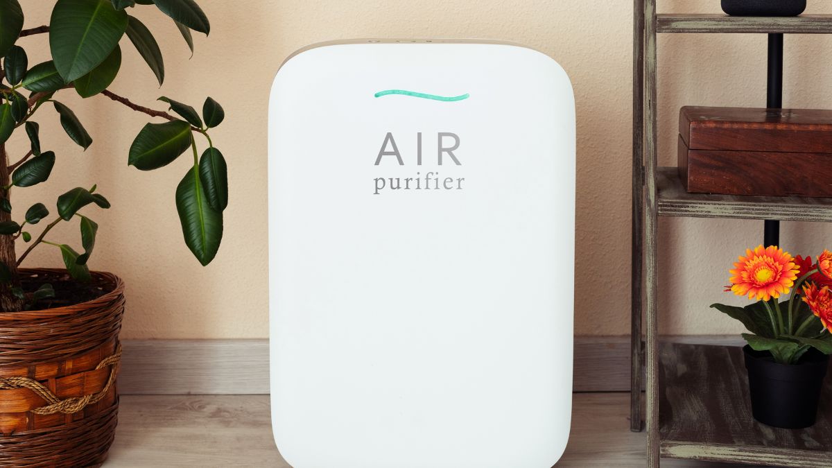 ways to imprpve indoor air quality