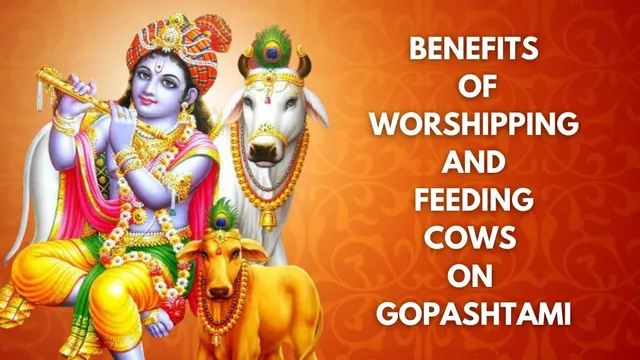 gopashtami-2024-5-incredible-benefits-of-feeding-and-worshipping-cows-on-this-auspicious-day