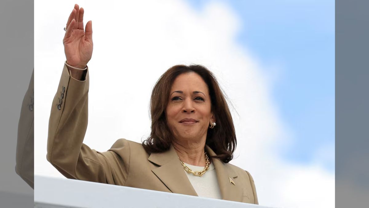 US Election What's Next For Kamala Harris After Shattered White House