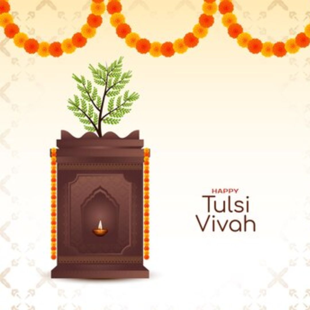 Tulsi Vivah 2024 Date, Time, Shubh Muhurat, Significance And Rituals