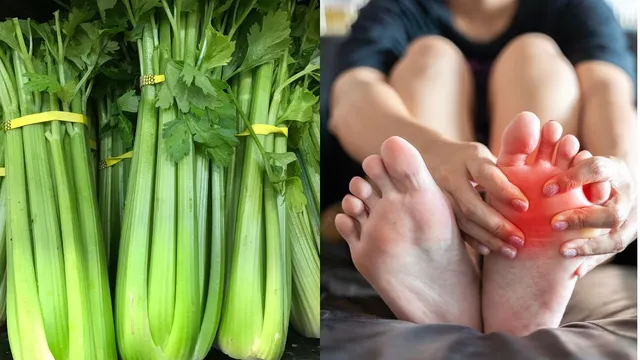 struggling-with-high-uric-acid-levels-4-ways-to-use-celery-to-control-it