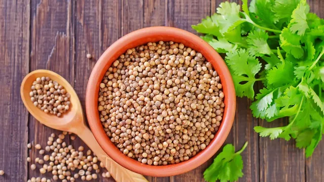 coriander-leaves-water-5-unknown-benefits-of-sipping-one-glass-of-this-magical-drink