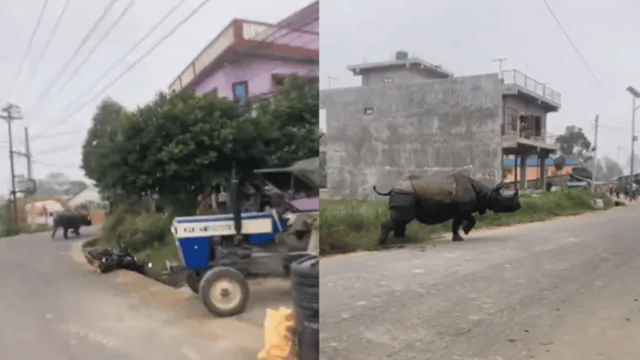 bihar-bone-chilling-video-of-aggressive-rhino-charging-at-people-goes-viral-watch