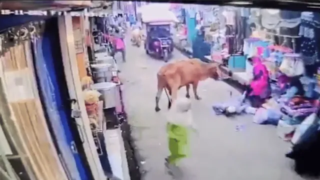 viral-video-elderly-man-falls-victim-to-aggressive-bull-unprovoked-attack-internet-reacts