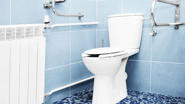 world-toilet-day-2024-essential-tips-to-maintain-toilet-hygiene-and-health