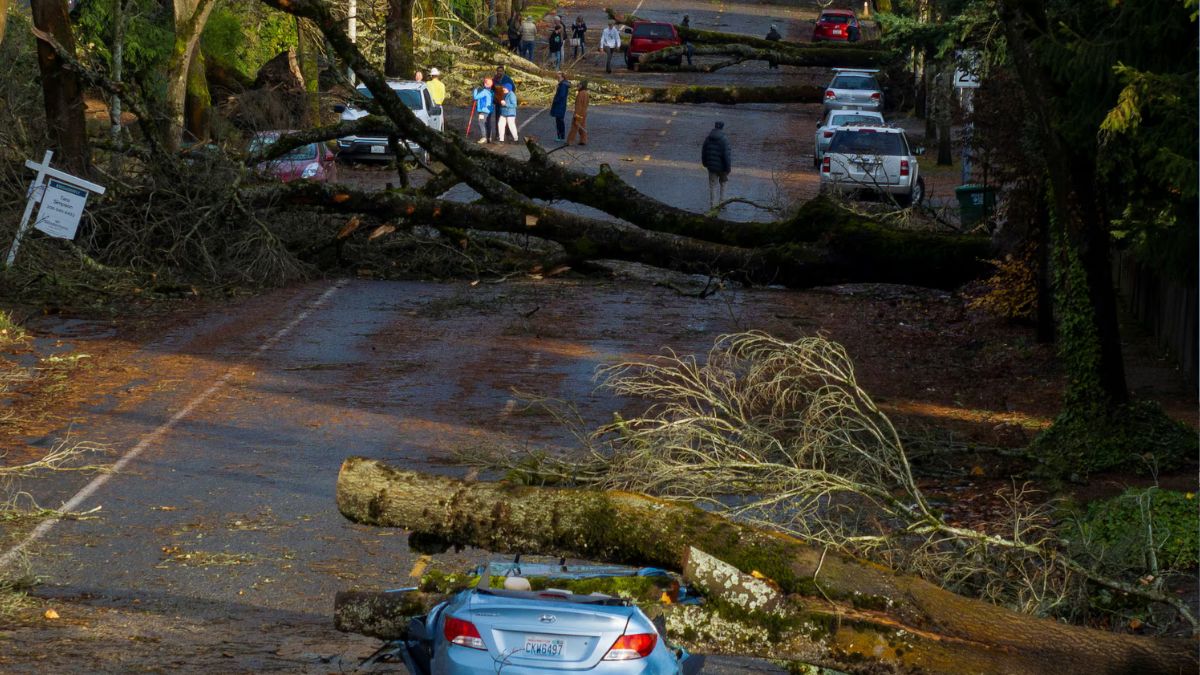 Bomb Cyclone Explodes Over US Coast, Power Supply Disrupted In ...