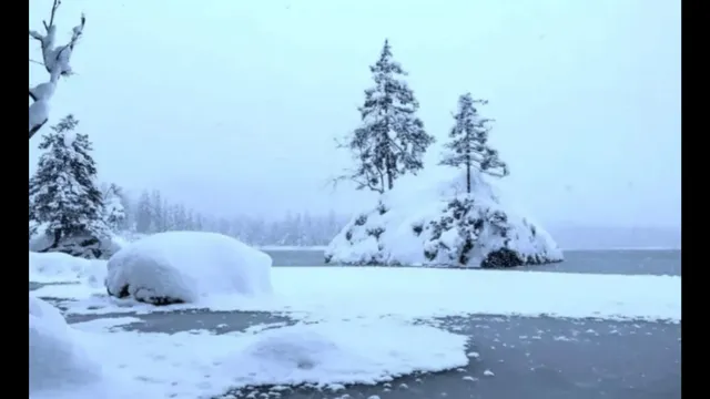 only-people-with-strong-vision-can-spot-polar-bear-in-under-7-seconds