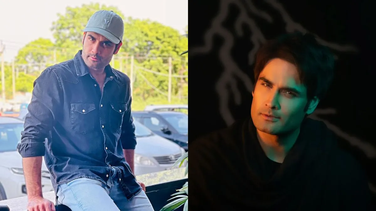 bigg-boss-18-contestant-vivian-dsena-sayings-that-made-impact-in-the-house