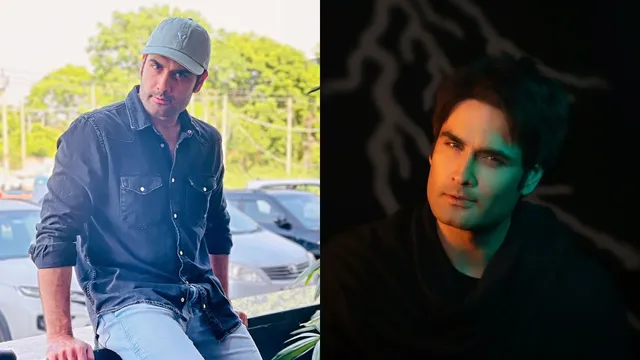 bigg-boss-18-contestant-vivian-dsena-sayings-that-made-impact-in-the-house