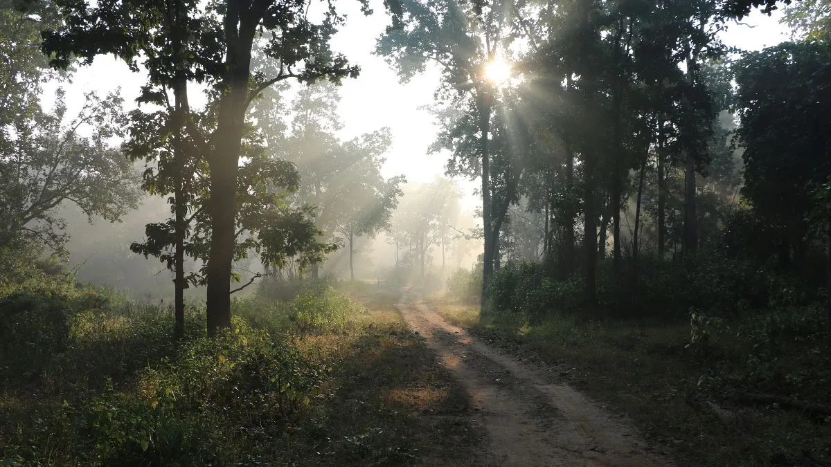 pune-winters-city-chills-to-record-low-122c-residents-feel-the-bitter-cold-light-rain-likely-on-november-28