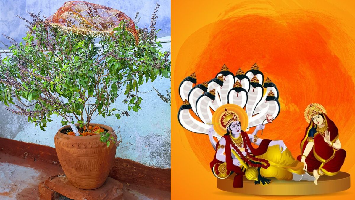 Utpanna Ekadashi 2024 5 Things To Offer To Goddess Tulsi On This